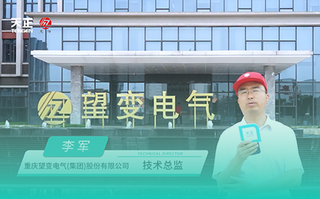 爱游戏体育网页版登陆x望变电气
